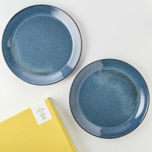 Mino ware Main Plate Gift Miyama Set of 2 21cm Made in Japan