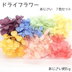 Material Assortment Dry flower Hydrangea 7-colors