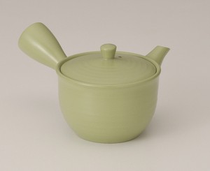 Tokoname ware Japanese Teapot Wakakusa Tea Pot