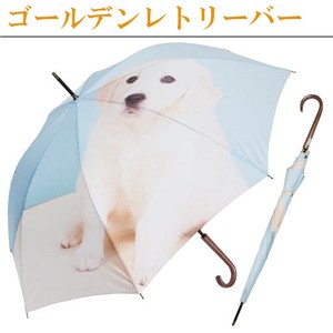 Umbrella Pudding 60cm