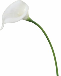【造花】カラーリリー　ニューホワイト　FA-6746N/W