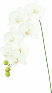 【造花】コチョウラン　ホワイトグリーン　FA-7452W/G