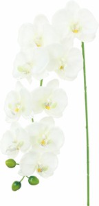 【造花】ロングコチョウラン　ホワイトグリーン　FA-7453W/G