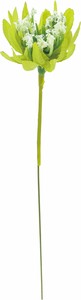 【造花】アストランチアピック20Pセット　ライトグリーン　FZY-0443LGR