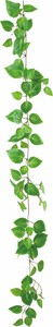 【造花】【グリーン】UVリサイクルコリウスガーランド　グリーン　GL-5348GR