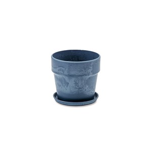 Pot/Planter Blueberry