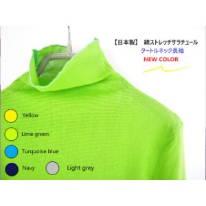 T-shirt Pullover Bottle Neck Tulle Stretch New Color Made in Japan