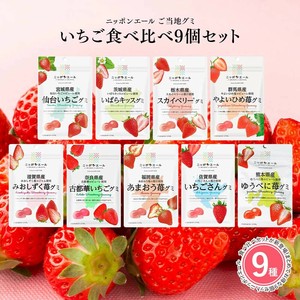 【いちごグミ 9種類セット】全国農協食品 ニッポンエール ご当地グミ 果実グミ