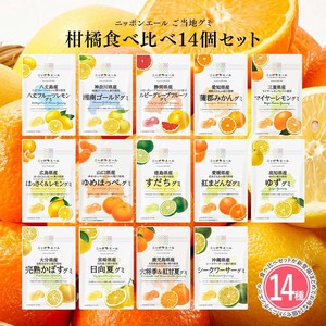 【柑橘系グミ 14種類セット】全国農協食品 ニッポンエール ご当地グミ 果実グミ