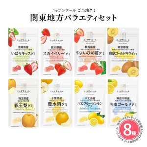 【関東グミ 8種類セット】全国農協食品 ニッポンエール ご当地グミ 果実グミ