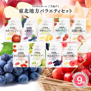 【東北産グミ 9種類セット】全国農協食品 ニッポンエール ご当地グミ 果実グミ