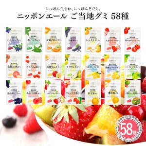 【全58種類セット】ニッポンエール ご当地グミ アソート お土産 名産 果実グミ 全国農協食品
