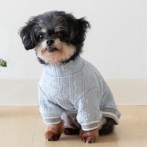 アラン風ニットセーター　ドッグウェア　犬服　リンクコーデ　日本製　made in japan　お揃い　ペット服