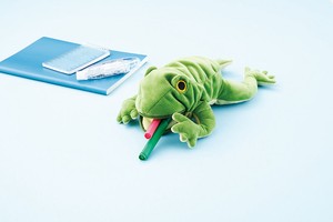 Pen Case Frog