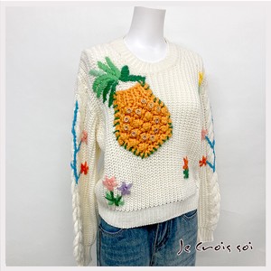 Sweater/Knitwear Pullover Pineapple