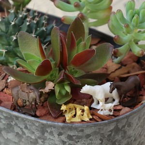 Pot/Planter Animal Series Figure Made in Japan