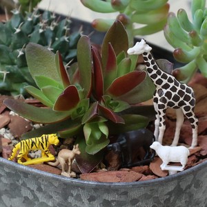 Pot/Planter Animal Series Figure Made in Japan