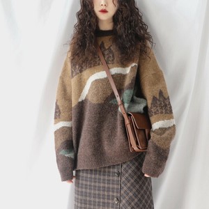 Sweater/Knitwear Knitted Ladies Autumn/Winter