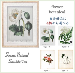 艺术相框 Botanical