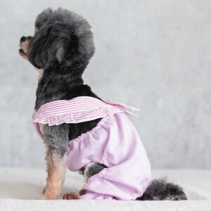 ストライプフリルロンパース　ドッグウェア　犬服　リンクコーデ　日本製　made in japan　ペット服