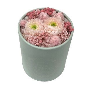 カフェdeミンティ サクラ プリザーブドフラワー 菊 キク ギフト プレゼント 母の日 キャニスター缶