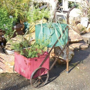 Pot/Planter Drop