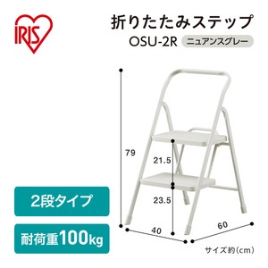 【大口受付中！】【アイリスオーヤマ　折りたたみステップ　】　折りたたみステップ2段