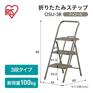 【大口受付中！】【アイリスオーヤマ　折りたたみステップ　】　折りたたみステップ3段