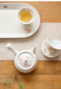 Hasami ware Teapot Series Arita ware Tea Pot