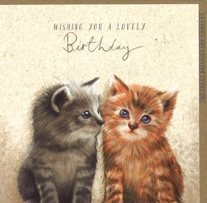 グリーティングカード 誕生日「2匹の子猫」 動物 メッセージカード イラスト 2024新作