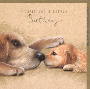 グリーティングカード 誕生日「2匹の犬」 動物 メッセージカード イラスト 2024新作