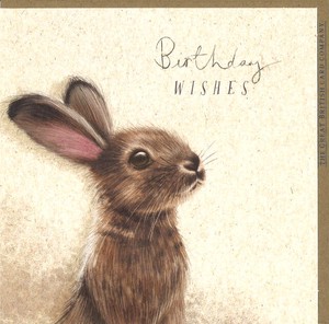 Greeting Card Animals Rabbit Message Card 2024 NEW
