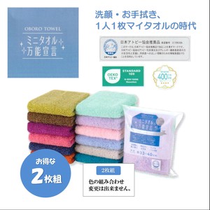 ●ミニタオル万能宣言●2枚組【日本製】＜6種類＞
