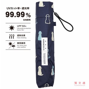 晴雨两用伞 滨文様