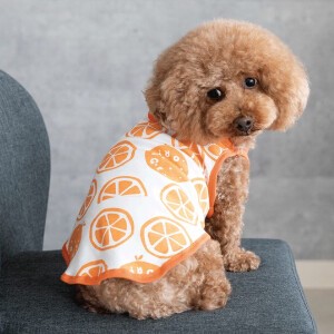 オレンジ柄キャミソール　ドッグウェア　犬服　リンクコーデ　日本製　made in japan　お揃い　ペット服