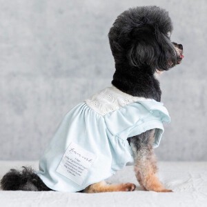 バックレースワンピース　ドッグウェア　犬服　リンクコーデ　日本製　made in japan　お揃い　ペット服