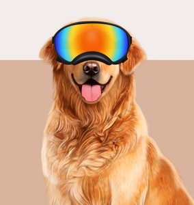 Dog/Cat Pet Item Pet items Sunglasses