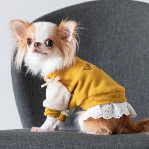 ボア袖フリル付きロゴトレーナー　ドッグウェア　犬服　リンクコーデ　日本製　made in japan　ペット服