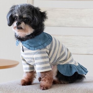 重ね着風フリルボーダーカットソー　ドッグウェア　犬服　リンクコーデ　日本製　made in japan　ペット服