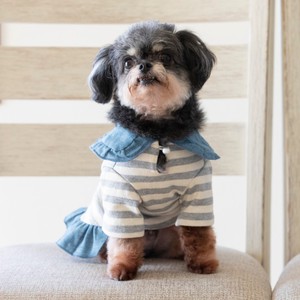 重ね着風フリルボーダーカットソー　ドッグウェア　犬服　リンクコーデ　日本製　made in japan　ペット服