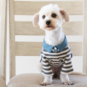 重ね着風ボーダーカットソー　ドッグウェア　犬服　リンクコーデ　日本製　made in japan　ペット服