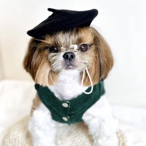 ペット用品  ベレー帽 帽子  ハット アクセサリー 犬用  犬猫兼用 帽子 調節可能 着脱簡単 人気