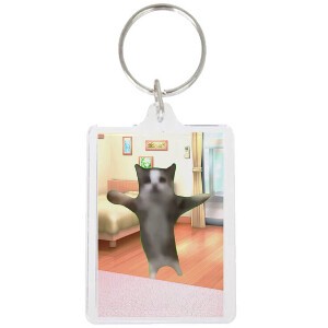钥匙链 可爱 猫 透明