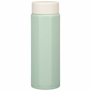 Water Bottle Skater Stainless Steel Bottle Green 500ml