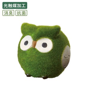 【光触媒加工】フェイクモスオブジェ