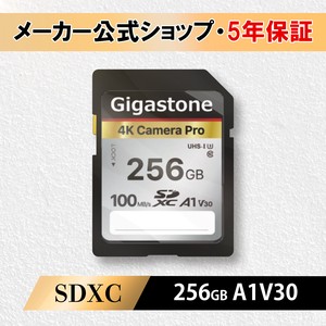 SDカード 256GB SDXC メモリーカード UHS-I U3 クラス10 超高速 100MB/s4K Ultra