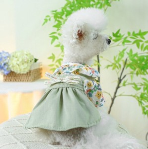 犬用 春夏 スカート ペット用品  BQ2738