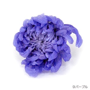 即納 リンギク パープル プリザーブドフラワー 輪菊 花材 紫
