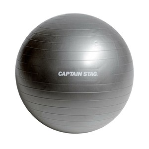 CAPTAIN STAG キャプテンスタッグ Vit Fit フィットネスボール φ65 シルバーホワイト UR-0863