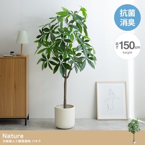 【直送可】【高さ150cm】Nature 光触媒人工観葉植物 パキラ【送料無料】